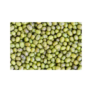 Kacang hijau kering/biji Moong Dal/biji tumbuh asal kacang hijau