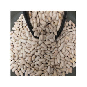 Haricots blancs de qualité supérieure naturels de la plus haute qualité pour l'exportation de gros gros haricots blancs de haute qualité - Product Image 1