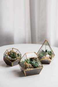 Brass Glass Pentagon Regular Geometric Terrarium Container Miniature Outdoor <b>Fairy</b> Garden <b>Gift</b> Customized Size & Style - Product Image 3