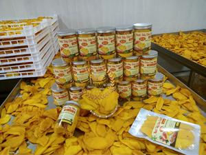 2024 nuevo cultivo orgánico 100% mangos naturales de secado suave de Vietnam delicioso aperitivo tropical en embalaje a granel con cremallera - Product Image 3