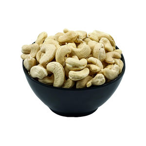 Nueces de cachorro premium enteras para exportación a granel para distribuidores y comerciantes - Product Image 6