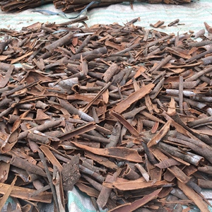 Canela de Casia rota de primera calidad de Vietnam con aroma natural, suministro a granel, exportador confiable - Product Image 4