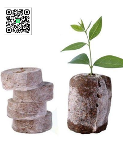 Solution pour les granulés de coco de sol nutritif/granulés de tourbe de coco de haute qualité naturels et écologiques d'Eco2go Vietnam - Product Image 1