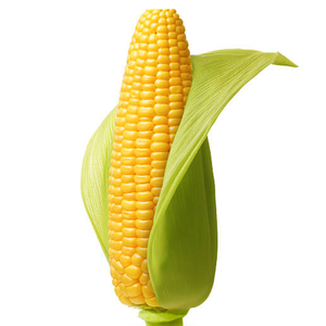 ข้าวโพดแช่แข็งคุณภาพสูงจากเวียดนาม | ผักแช่แข็งส่งออกทั่วโลก - Product Image 1