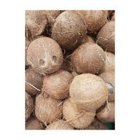 Noix de coco fraîche, Semi-croûte, prête à l'exportation, bon marché, noix de coco mature