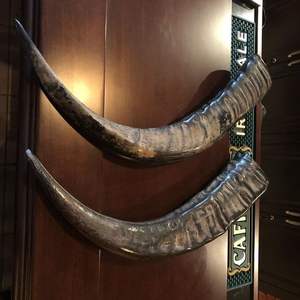 Corne de buffle naturelle polie vraie corne pour tasse bijoux couteau poignée et décoration - Product Image 6