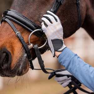 Guantes de Equitación de Diseño Personalizado con MOQ Bajo, Guantes de Equitación de Material Duradero, Guantes de Equitación de Último Estilo - Product Image 2