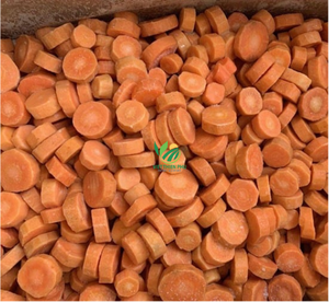Zanahoria Congelada al por Mayor de Alta Calidad - Consistente, Natural y Lista para Usar - Fabricada por VIET THIEN PHU de Vietnam - Product Image 1