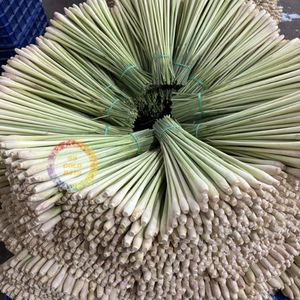 Meilleure vente tiges de citronnelle congelées IQF coupées en tranches entières de légumes séchés hachés en dés motif cube frais Vietnam OGM - Product Image 2