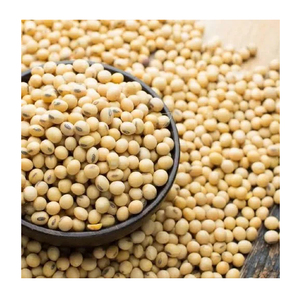 Semilla de soja rica en proteínas saludable y orgánica - Product Image 6