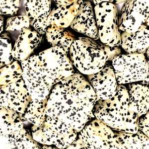 Venta al por mayor de piedras preciosas de jaspe dálmata natural de tamaño libre para el uso de la joyería y collar anillo pendiente colgante - Product Image 3