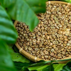 Cao Cấp Màu Xanh Lá Cây Hạt Cà Phê Arabica & Robusta 100% Tự Nhiên Chất Lượng Cao unroasted Cà Phê Cho Xuất Khẩu OEM/Odm Từ Việt Nam - Product Image 5