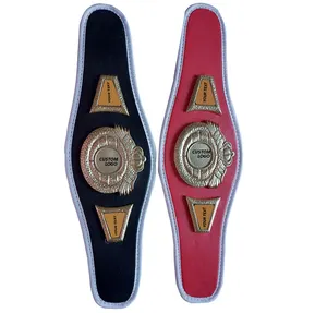 Promotion Boxing Mini Meisterschaft Gürtel Benutzer definiertes Logo Martial Art/MMA Boxing Championship Metallplatten Gürtel von Elegant Sports