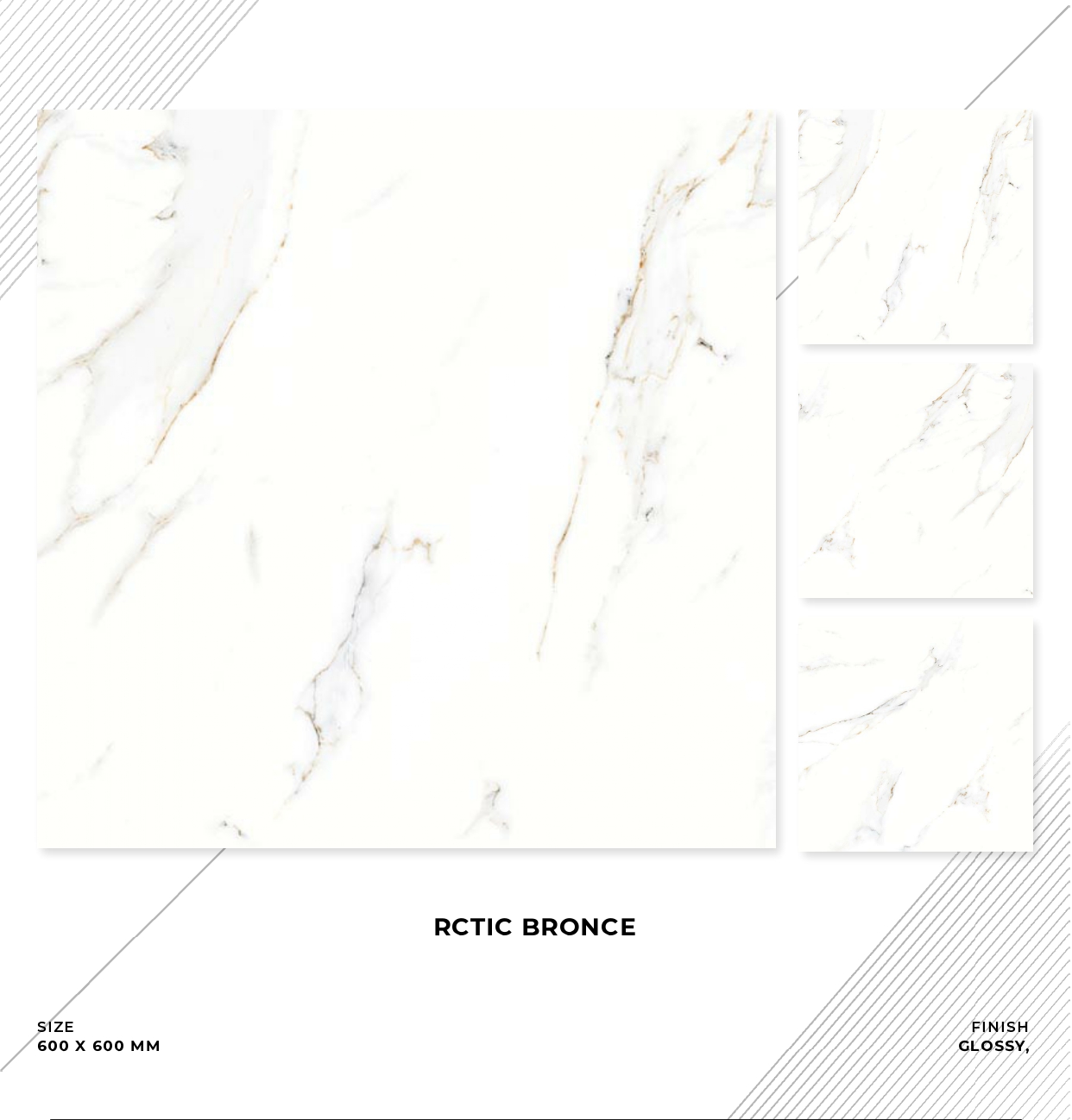 Rctic Bronce