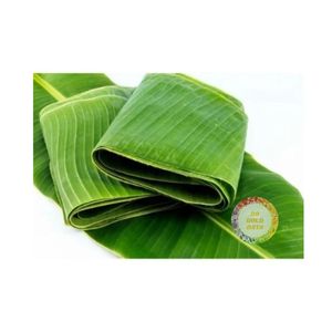 Hojas de Plátano Congeladas de la Mejor Calidad de Asia Oriental, Hojas de Plátano Congeladas Verdes al por Mayor, Alta Calidad, BQF, Alimento Asiático para Envolver - Product Image 1