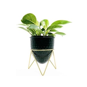 Luxurious <b>Plant</b> <b>Pots</b> & Planter <b>Stand</b> with Unique Design for Home & Garden Decorate at Reasonable Price - Product Image 4