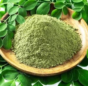 Polvo de Katuk Orgánico Puro al 100% de Primera Calidad al por Mayor - Sauropus Androgynus de Vietnam - Product Image 1