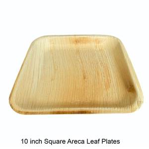 Plateau rectangulaire de 10 pouces, assiettes en feuilles d'arec carrées - Product Image 3