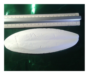 Os de seiche Usine du Vietnam Offre Spéciale Os de Calmar Naturel de Haute Qualité pour Animaux de Compagnie en Vrac Os de Seiche Exportation OEM Meilleur Prix - Product Image 3