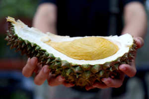 Calidad Premium Natural congelado fresco Durian Vietnam orgánico entero en rodajas sabor dulce IQF proceso de congelación agua paquete al vacío a granel - Product Image 2