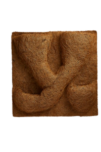 2025 Pure Terrarium Coir Produit Coco Retour Sol Utilisation Pour Lézards Hamsters Amphibiens Serpents Oiseaux Sri Lanka Fabrication Exportation - Product Image 3