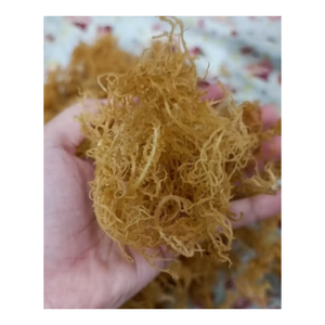 สาหร่ายคุณภาพสูงจากเวียดนาม - Product Image 3
