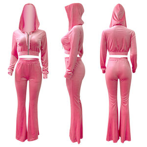 Custom Two Pieces Velvet <b>Ladies</b> Hoodie and Jogger Tracksuit Set High Quality Women 2 Pieces Velvet Set - Product Image 2