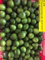 Lima fresca sin semillas Limón 84 917476477 Embalaje estilo Vietnam 7 Kg por caja con color verde Natural Sour T/T, L/C 15 días 4 up Cm
