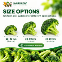 Bunga Brokoli Beku 2-4cm IQF Blanched Grosir untuk Layanan Makanan