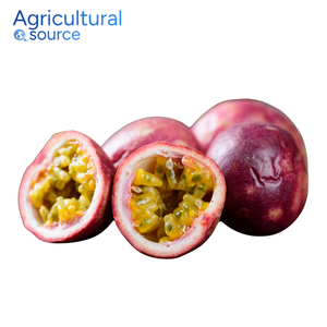 La mejor fruta de la pasión: fruta fresca de la pasión de calidad de Vietnam con alto contenido de vitamina C, perfecta para bebidas tropicales de la fábrica de Vietnam - Product Image 2
