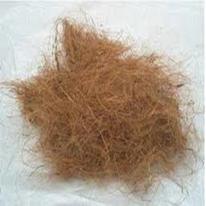 Fibra de coco natural de alta calidad para colchones, cepillos, cuerdas, esteras para cultivo, fibra de coco para mantillo, venta al por mayor de La India - Product Image 4