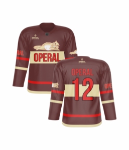 Maillots de hockey sur glace rétro personnalisés, vêtements d'équipe de sport rétro, polyester, avec design imprimé par sublimation - Product Image 6