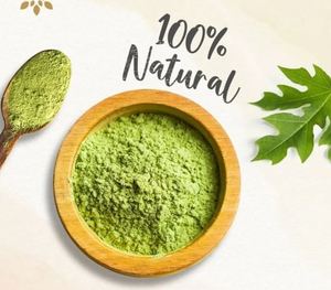 Vietnam Exported Fine Dried <b>Papaya</b> Leaf Powder <b>Fresh</b> Style Supports Hair Growth and Blood Sugar for Drinks - Product Image 4