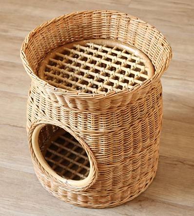 ธรรมชาติ