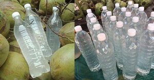 Agua de coco congelada de calidad superior empaquetada en 1 kg/bolsa ayuda a rehidratar el origen de Vietnam - Product Image 3