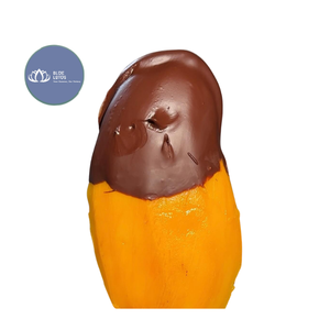Mango Deshidratado Dulce Sostenible de Alta Calidad, Recubierto de Chocolate, en Paquete Grande, Mezcla Premium de Frutas para Snacks - Product Image 1
