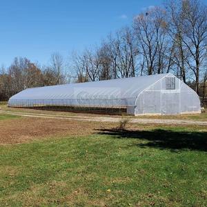 Invernadero de película de polietileno multiespacio con estructura de acero galvanizado para agricultura, invernadero de túnel de policarbonato para flores y plantas - Product Image 5