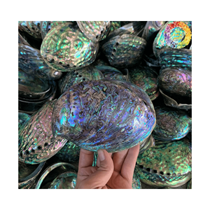 High Grade Natural <b>Abalone</b> <b>Shells</b> Bulk Supply For DIY Crafts Handicraft Products Natural Crafts Seashell Decoration Blue Colors - Product Image 1