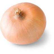 Cheap Wholesale Top Quality Organic Red <b>Onion</b> / <b>Fresh</b> Yellow <b>Onions</b> in Bulk - Product Image 2