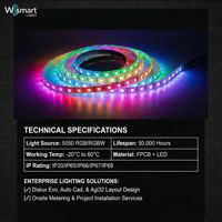 Tira de Luces LED RGB Direccionables de 12V/24V, WS2812B WS2811, Inteligentes y Programables, 144 LED, IP68, Impermeables, para Paisajes y Escenarios