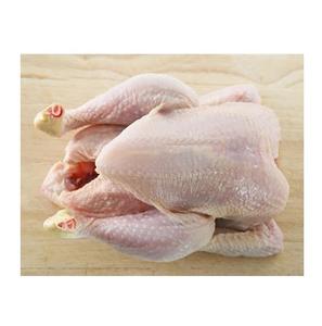 Proveedor Premium Halal congelado pollo entero Halal carne procesada de pollo Halal de Brasil - Product Image 3