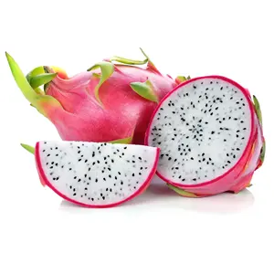 Vietnamita especial orgânica fruta do dragão exportação padrão