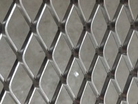 Maille métallique expansée galvanisée en acier inoxydable multi-usages pour la décoration, la filtration, l'agriculture, la sécurité