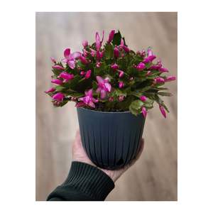 2025 nouveau Design vente en gros VASE décoratif en plastique moderne ensemble 3 pièces intérieur extérieur Pot de jardin de table avec marque privée - Product Image 3