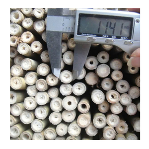 Postes de bambú fuerte tratado para construir toldos al aire libre Postes de bambú de calidad para múltiples propósitos de construcción - Product Image 2