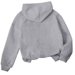 2025 Jersey de algodón 100% de alta calidad, sudaderas con capucha para hombre, ropa de calle, chándales, sudaderas con capucha con estampado de soplo de peso pesado para hombre - Product Image 5