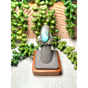 Kobe Martinez Dry Creek Turquoise & Sterling Silver <b>Adjustable</b> Boho Statement <b>Ring</b> for Everyday Wear Smooth Cut Natural Stone - Product Image 1
