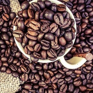 Granos de café verde Robusta/Arábica de Vietnam-Café Robusta/Arábica de alta calidad a buen precio para exportación - Product Image 1