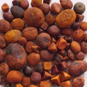 Qualidade Secas Boi Biliar Vaca | Bovinos Cálculos Biliar | Vaca Biliar e <span class=keywords><strong>Bezoar</strong></span> - Product Image 6