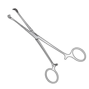 Producto de alta calidad Babcock Tissue Forceps Box joint, mordazas dentadas 200mm Fabricación de acero inoxidable quirúrgico en Pakistán - Product Image 1